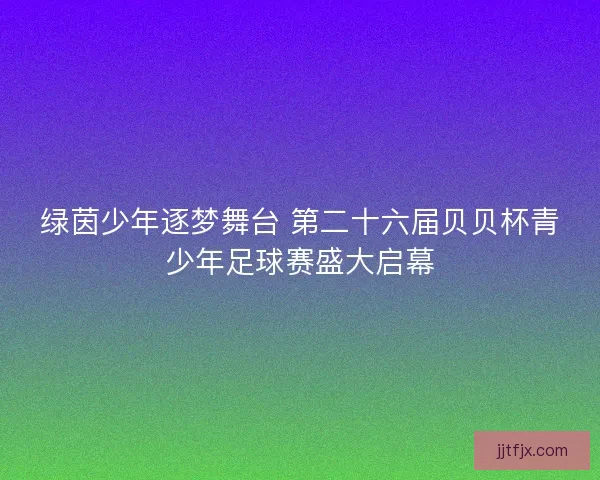 绿茵少年逐梦舞台 第二十六届贝贝杯青少年足球赛盛大启幕 绿茵少年逐梦舞台 第二十六届贝贝杯青少年足球赛盛大启幕